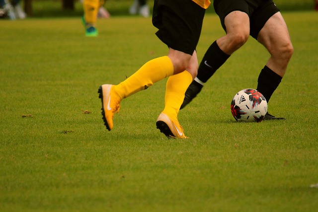 視的威懾力 視的威懾力