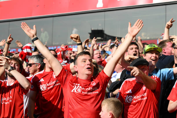 金歲月的美 金歲月的美